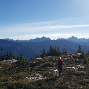 Meet your Posher, Nat